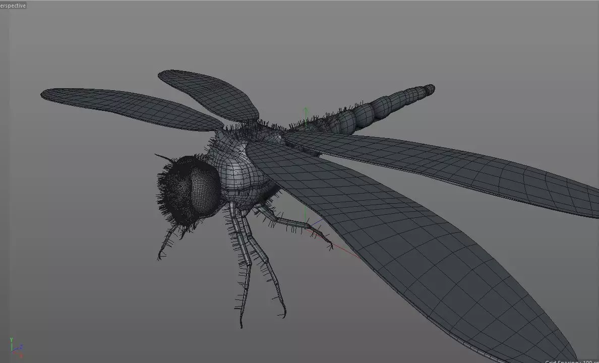 Dragonfly Insect Low-poly 3D model_14