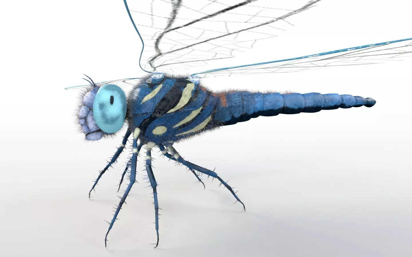 Dragonfly Insect Low-poly 3D model_1