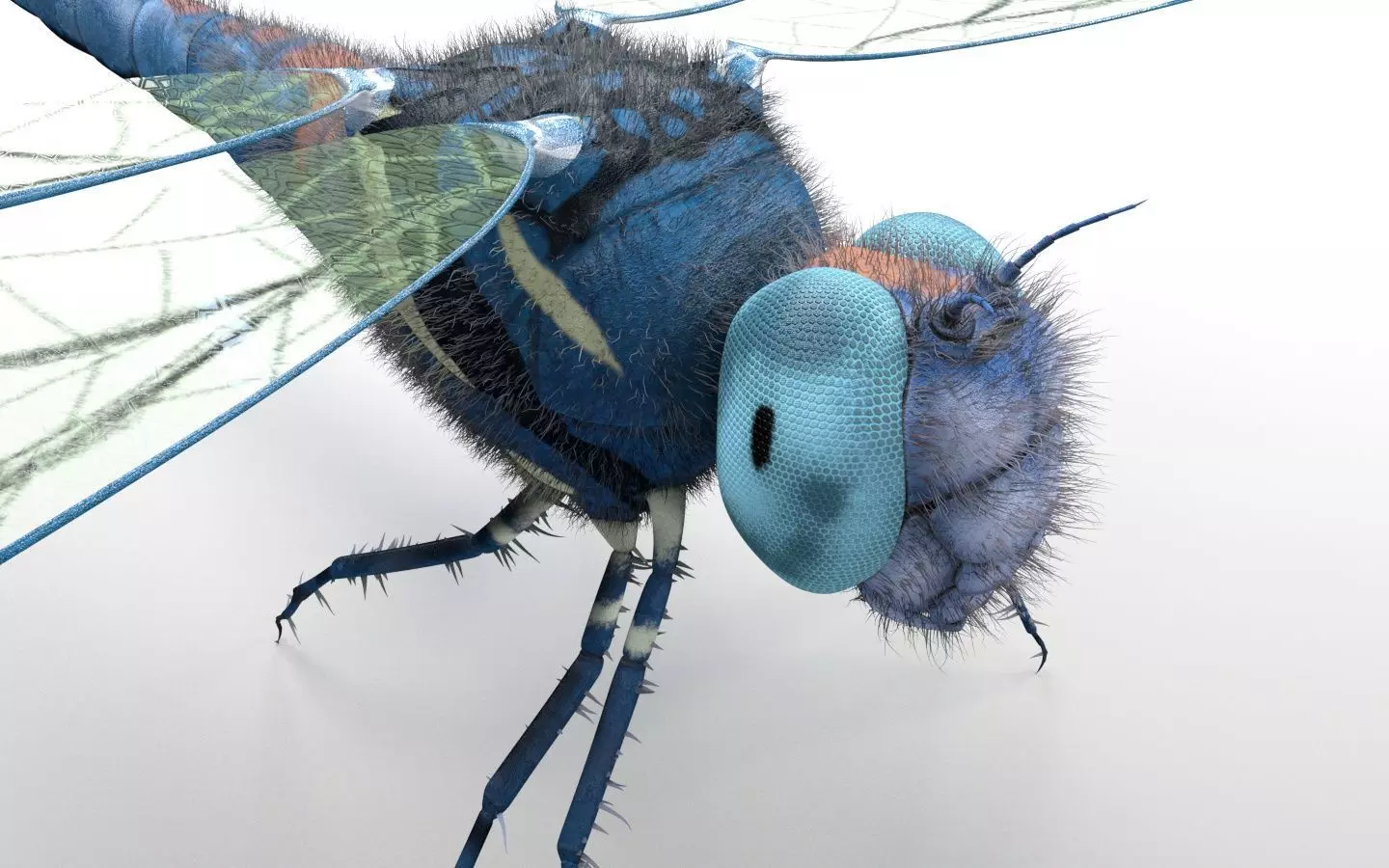 Dragonfly Insect Low-poly 3D model_11