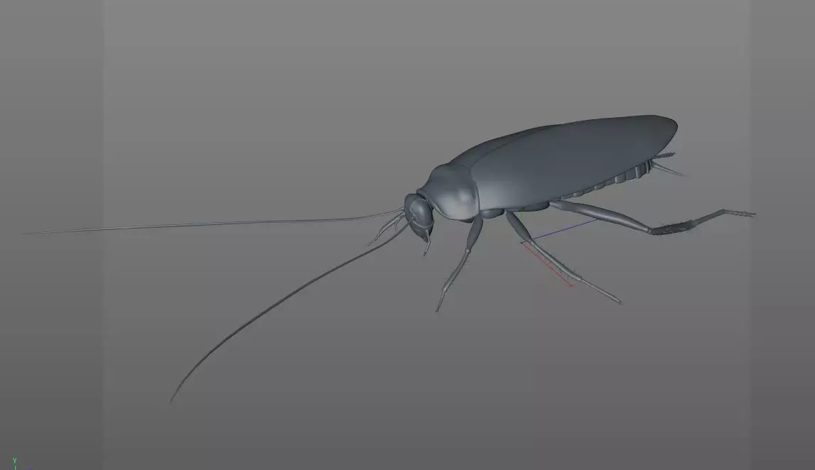 Cockroach insect Low-poly 3D model_13