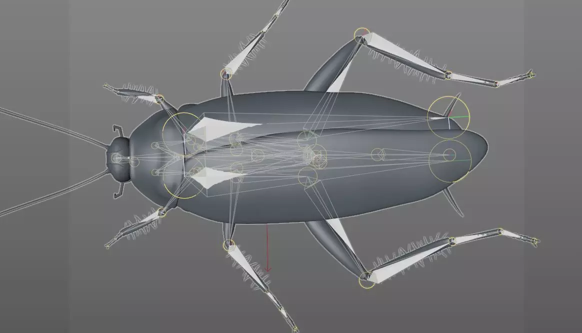 Cockroach insect Low-poly 3D model_10