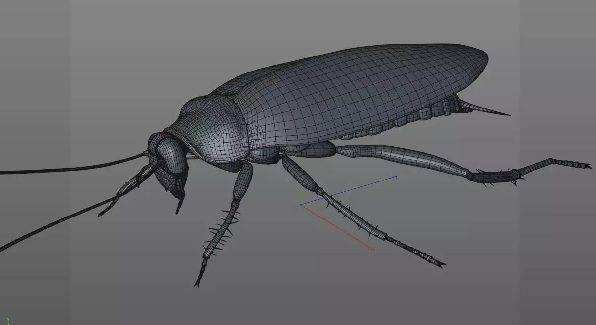 Cockroach insect Low-poly 3D model_12