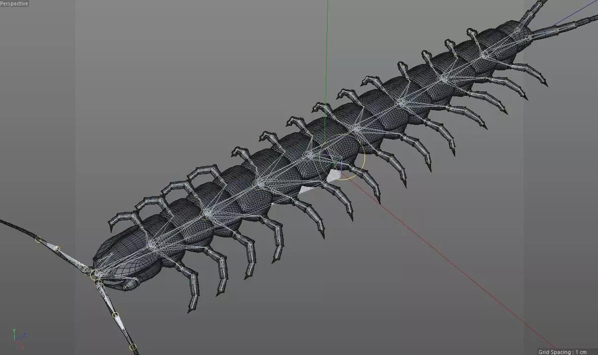 Centipede Insect Low-poly 3D model_12