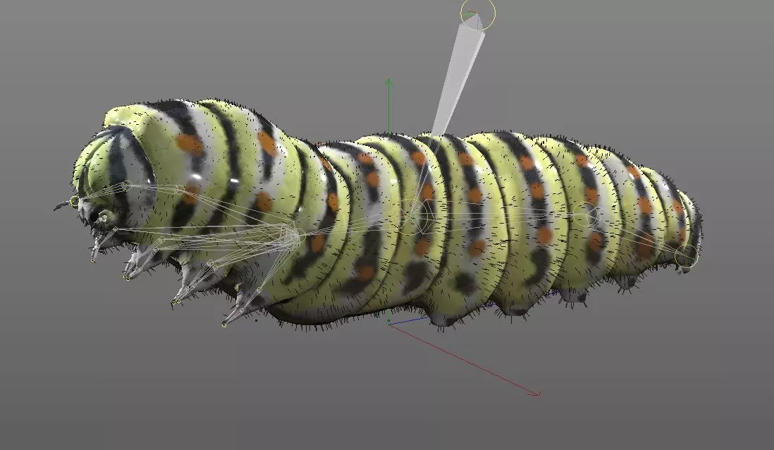 Caterpillar Insect Low-poly 3D model_8