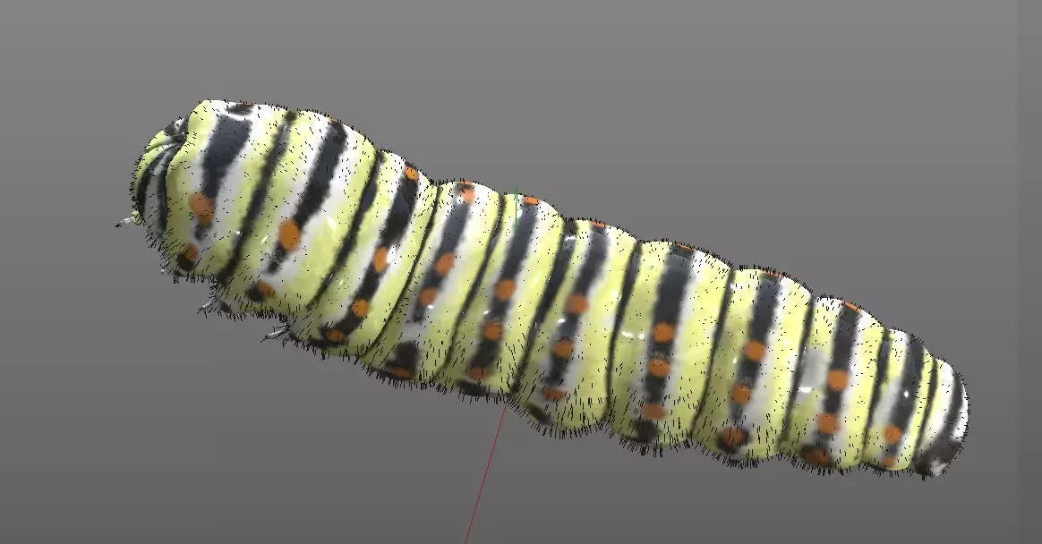 Caterpillar Insect Low-poly 3D model_7