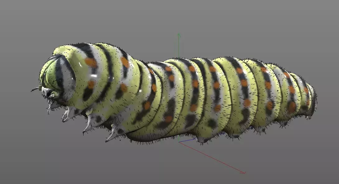 Caterpillar Insect Low-poly 3D model_6