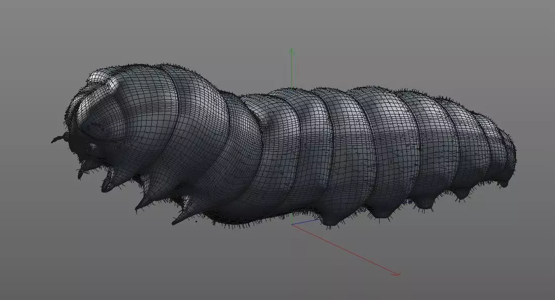 Caterpillar Insect Low-poly 3D model_10