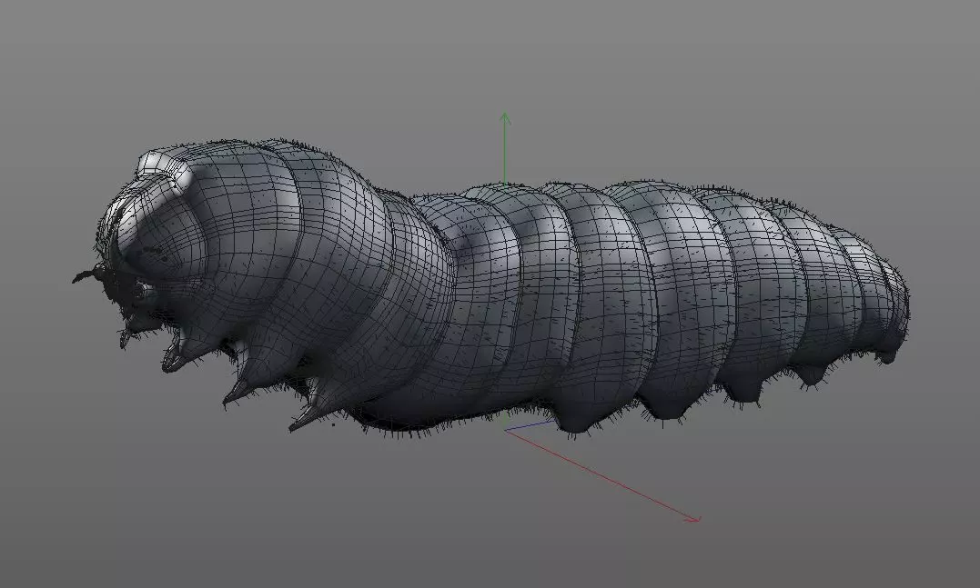 Caterpillar Insect Low-poly 3D model_9