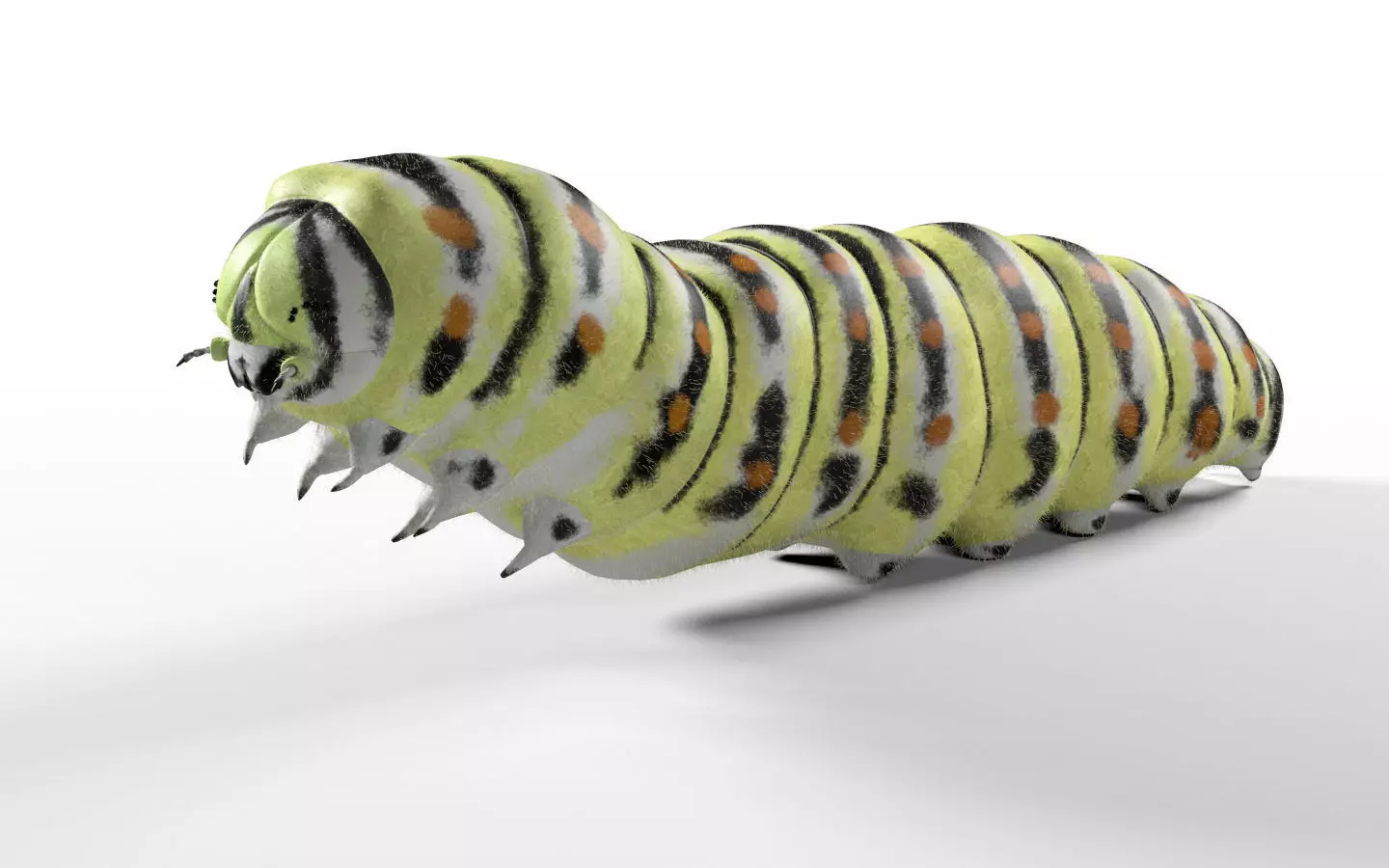 Caterpillar Insect Low-poly 3D model_1
