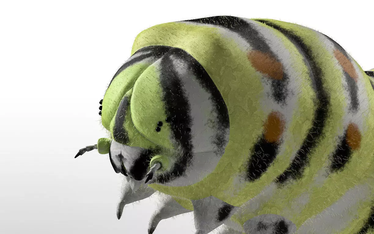 Caterpillar Insect Low-poly 3D model_2