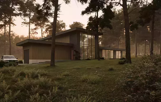 Modern house in the woods 3D model 4