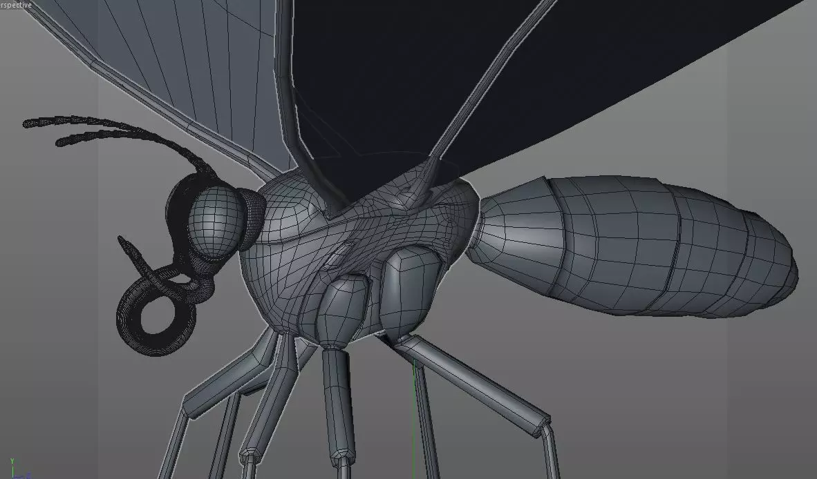 Butterfly Insect Low-poly 3D model_7