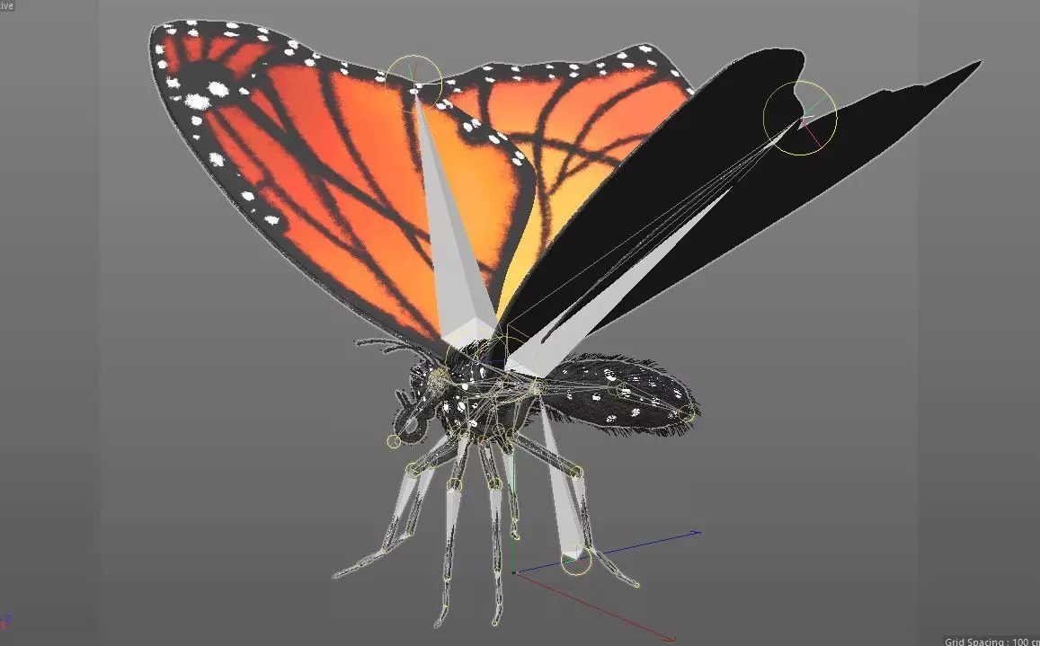 Butterfly Insect Low-poly 3D model_10