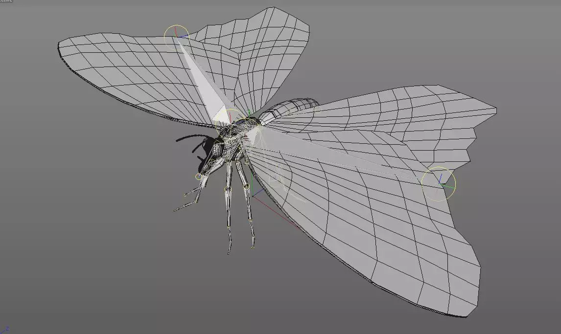 Butterfly Insect Low-poly 3D model_8