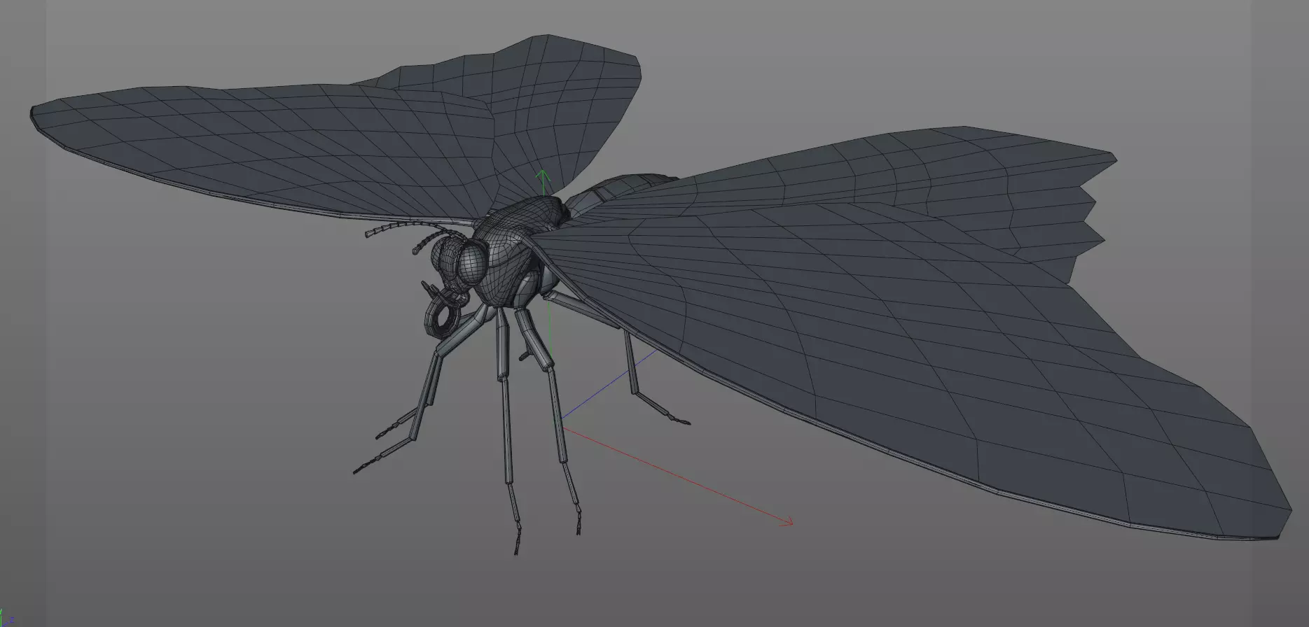 Butterfly Insect Low-poly 3D model_12