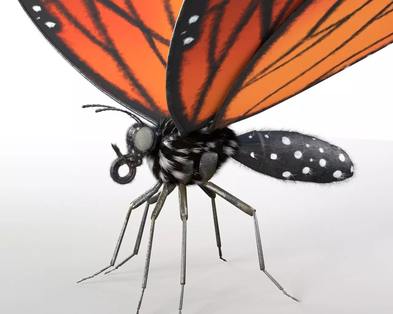 Butterfly Insect Low-poly 3D model_2