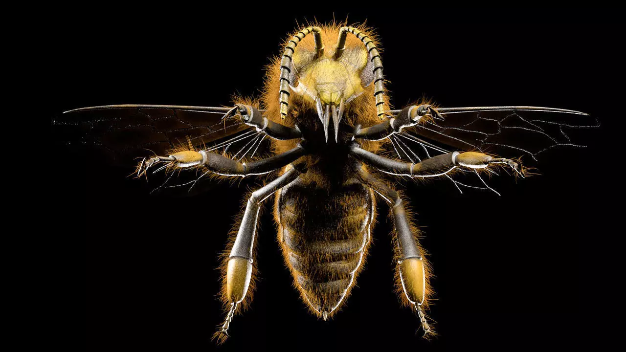 Bee Insect Low-poly 3D model_6