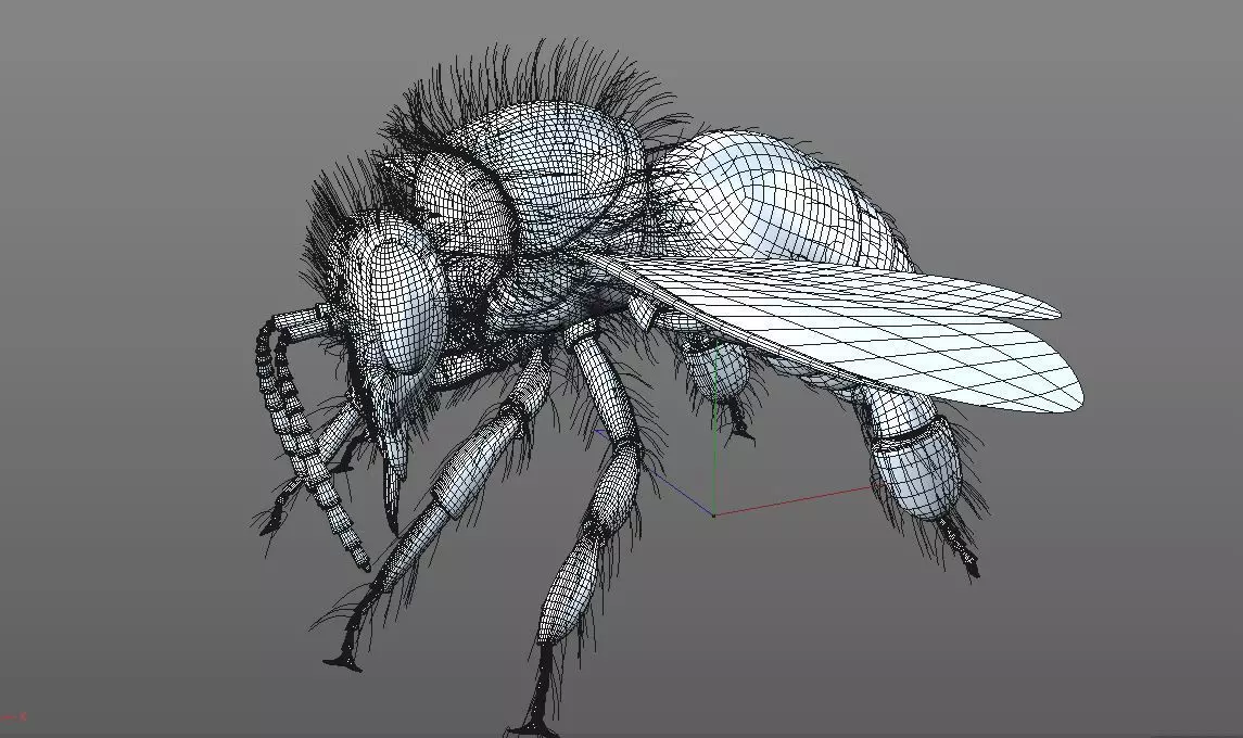 Bee Insect Low-poly 3D model_11