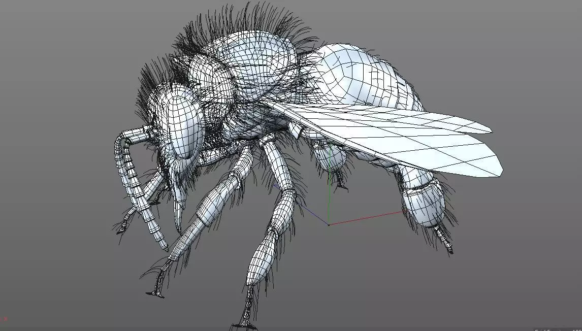 Bee Insect Low-poly 3D model_10