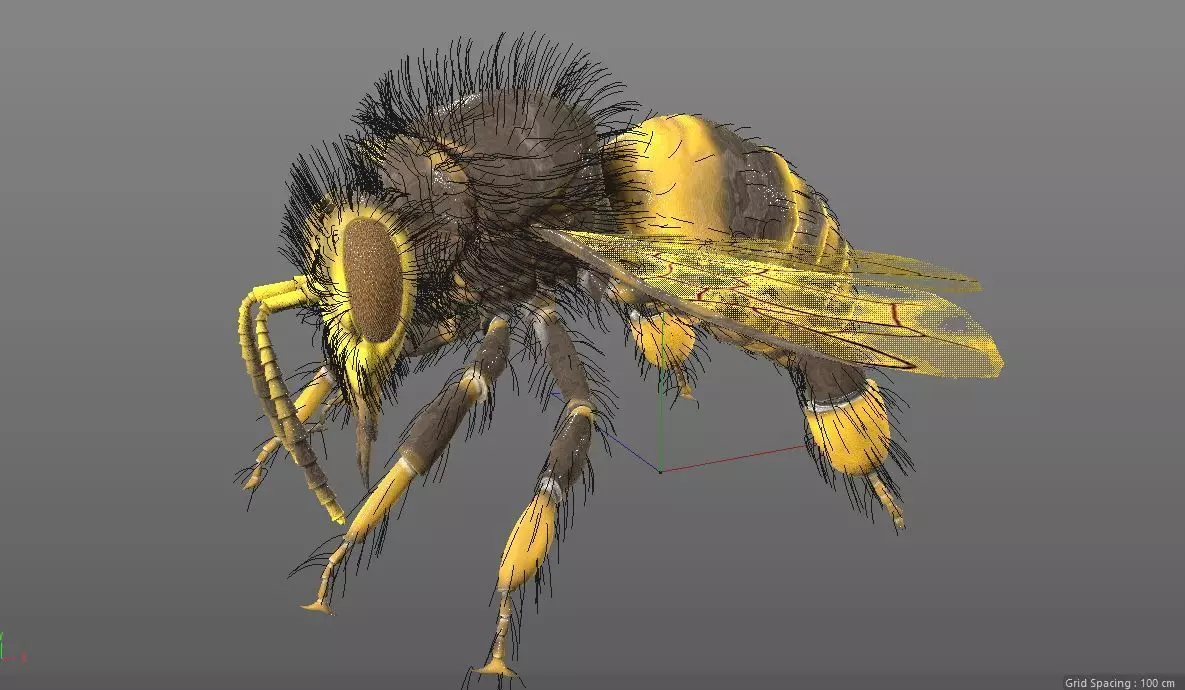 Bee Insect Low-poly 3D model_9