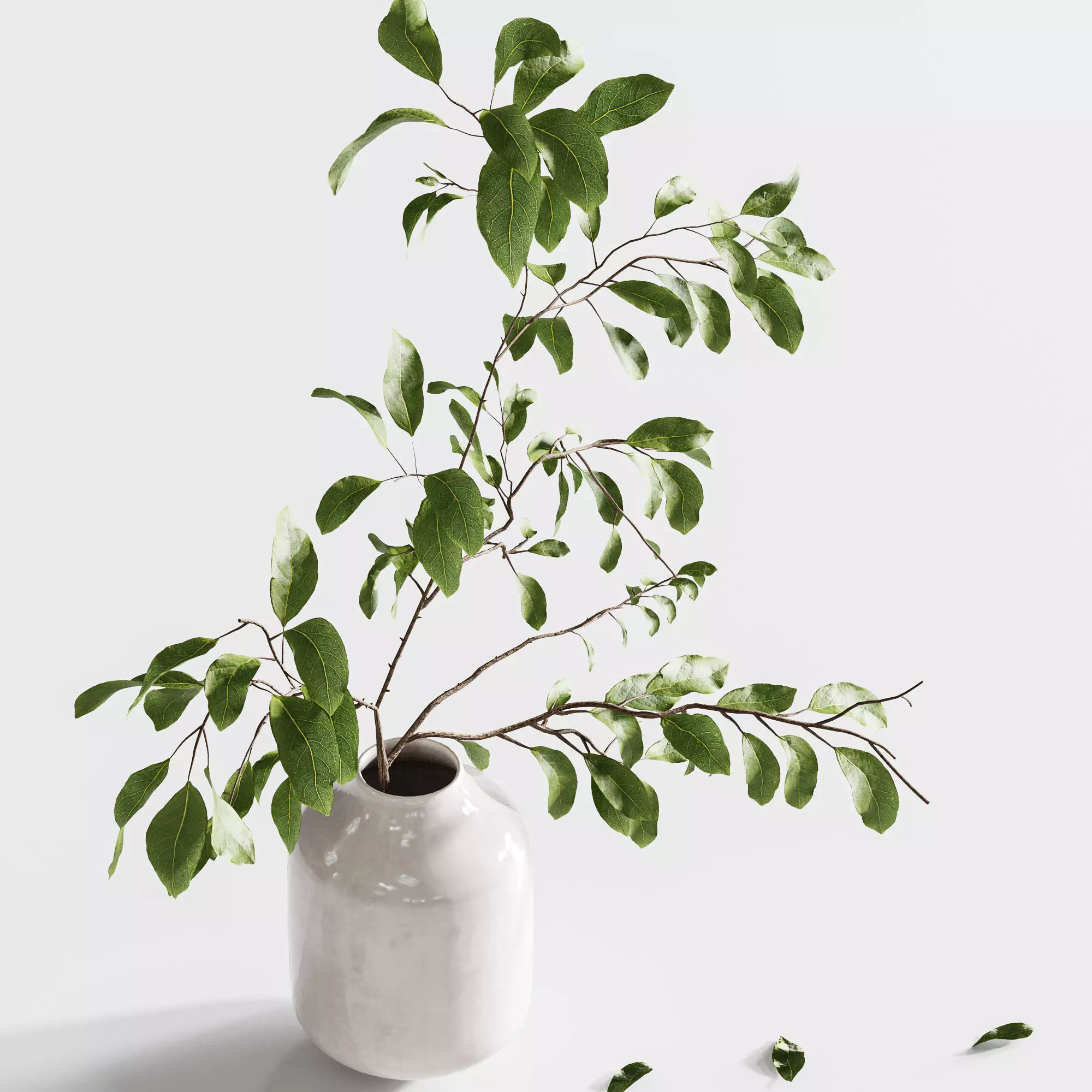 Bouquet36 3D model_4