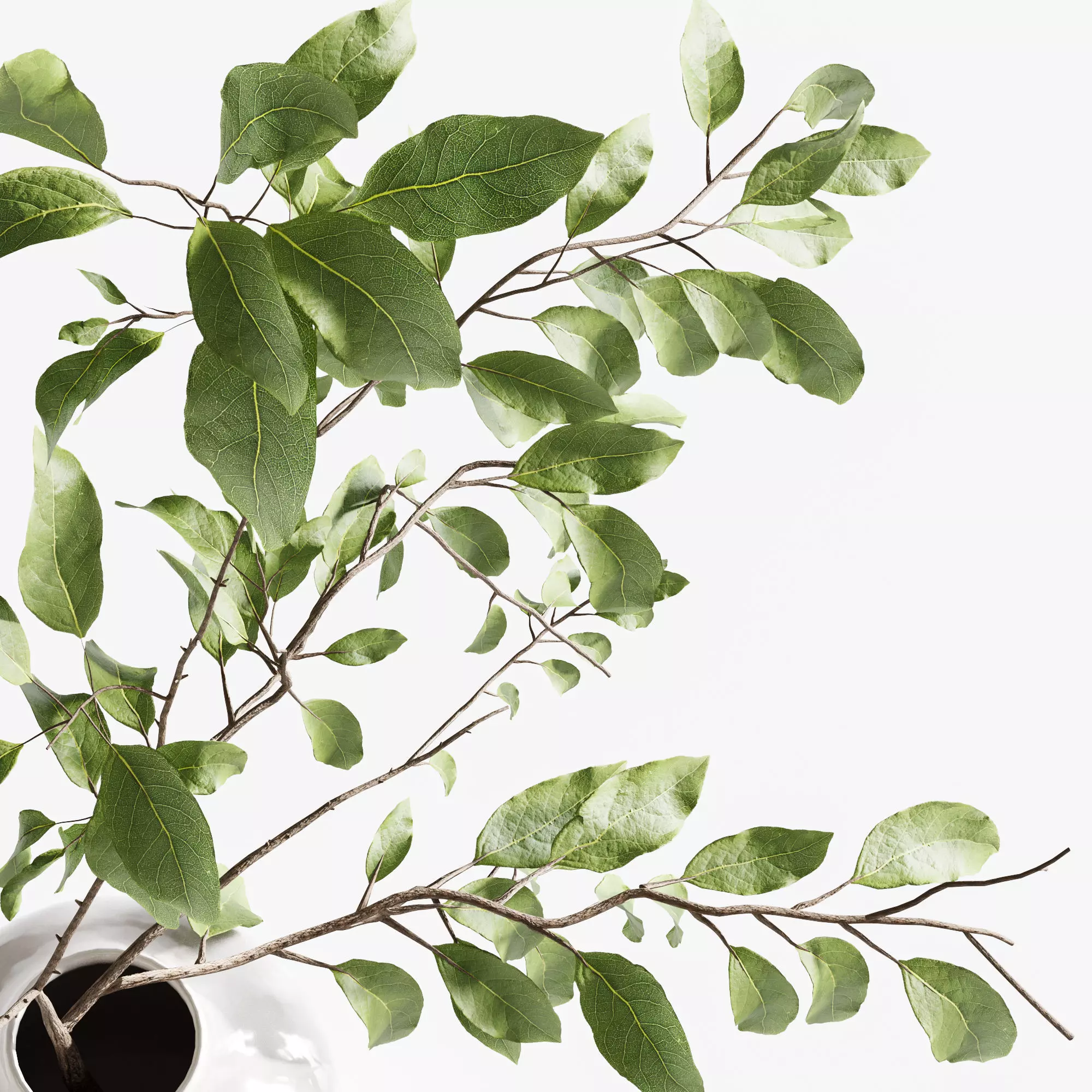 Bouquet36 3D model_1