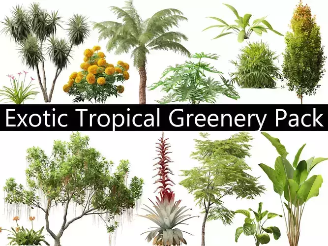 Exotic Tropical Greenery Pack 36