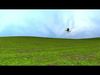 Blue winged mountain tanager open wings Animation 3D model_1