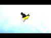 Blue winged mountain tanager open wings Animation 3D model_3
