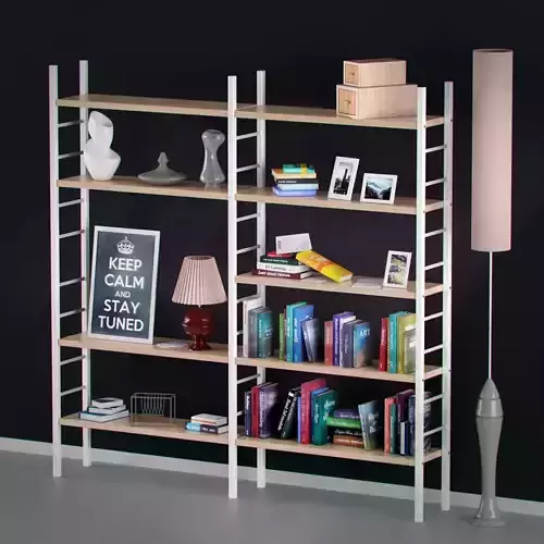 Bookshelf with books and decoration objects