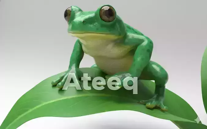 Realistic Frog 3D Model High Quality Printable Amphibian Model 