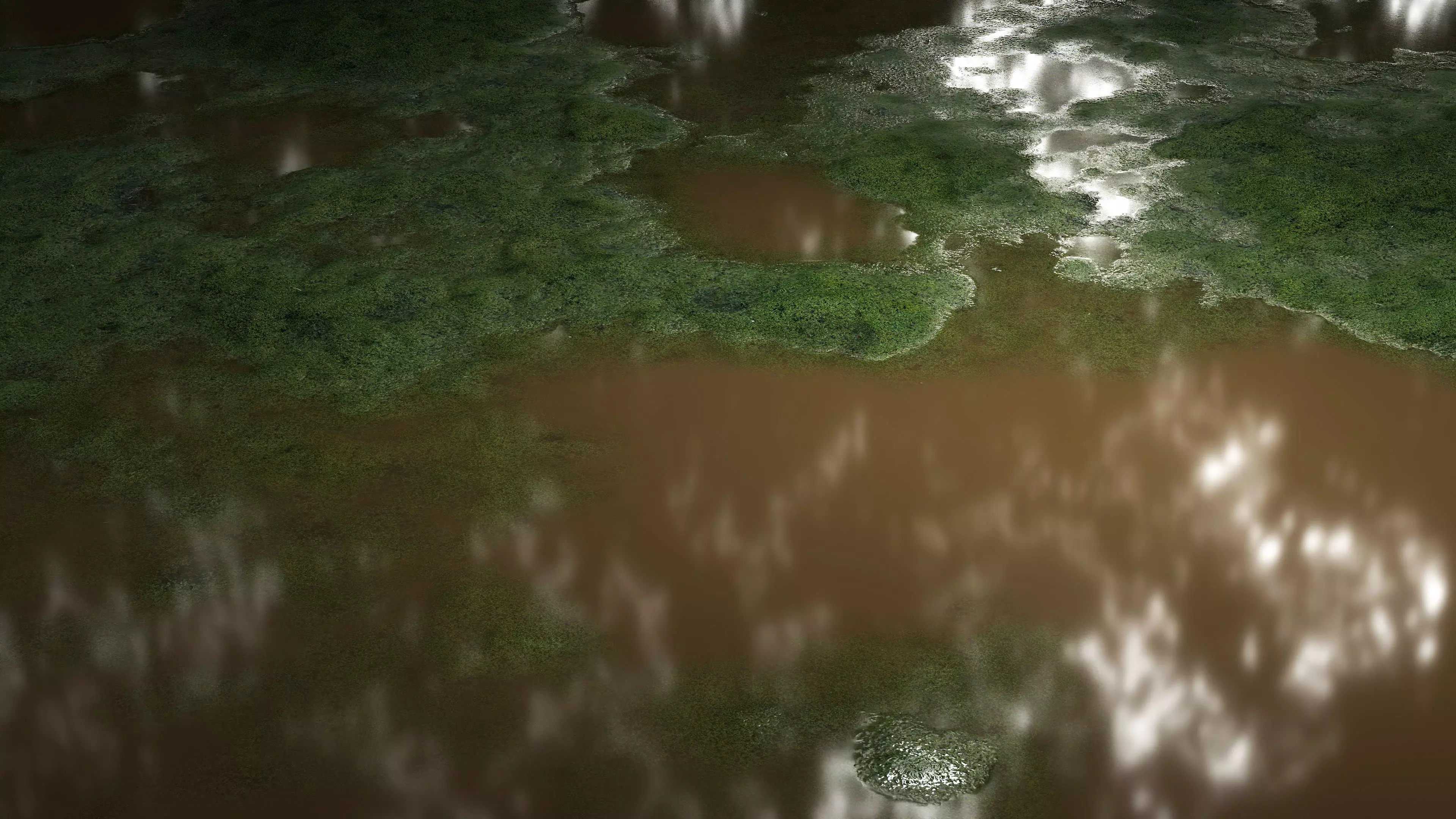 Swamp Water 8K PBR Texture Texture_3