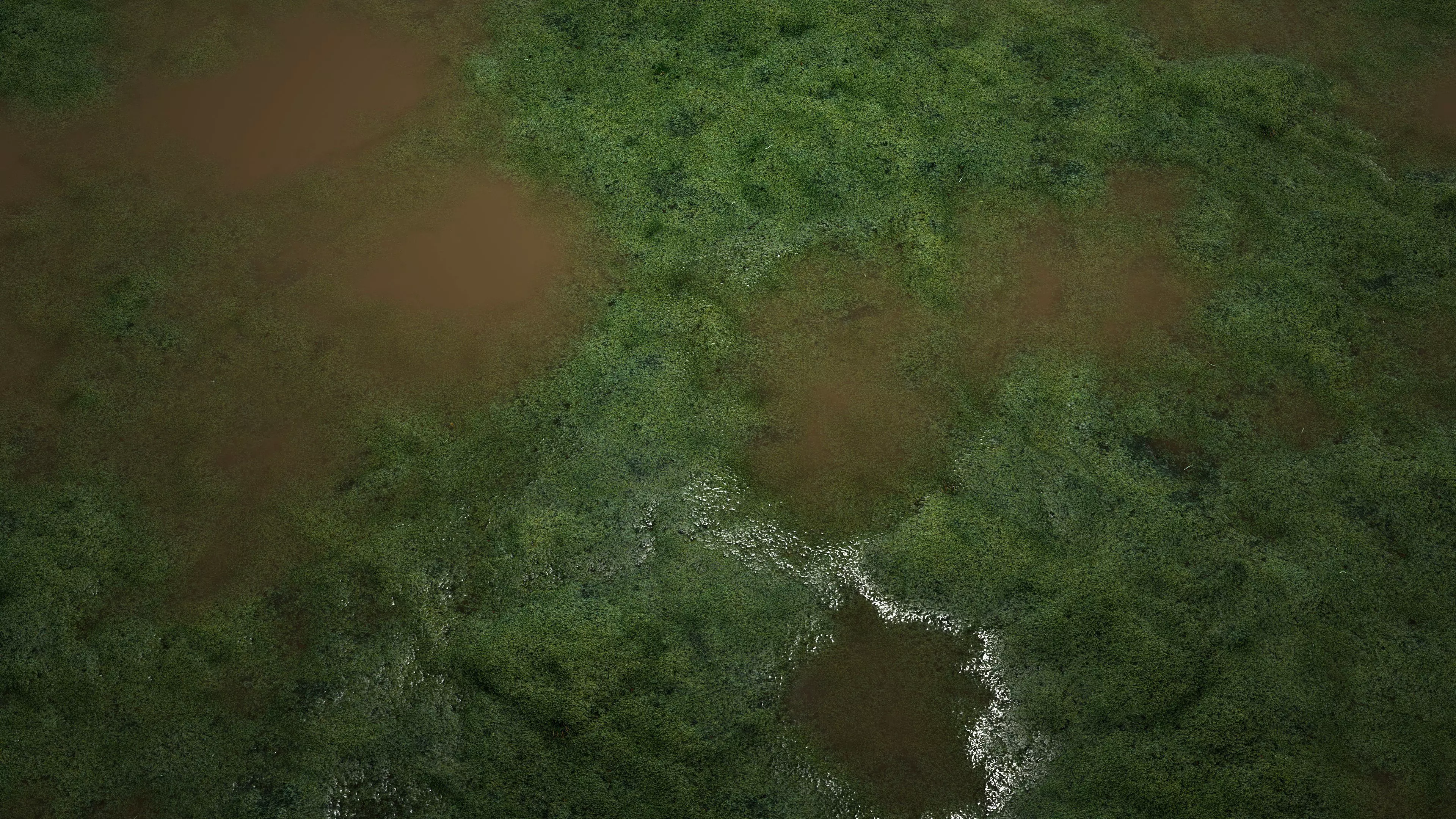 Swamp Water 8K PBR Texture Texture_7