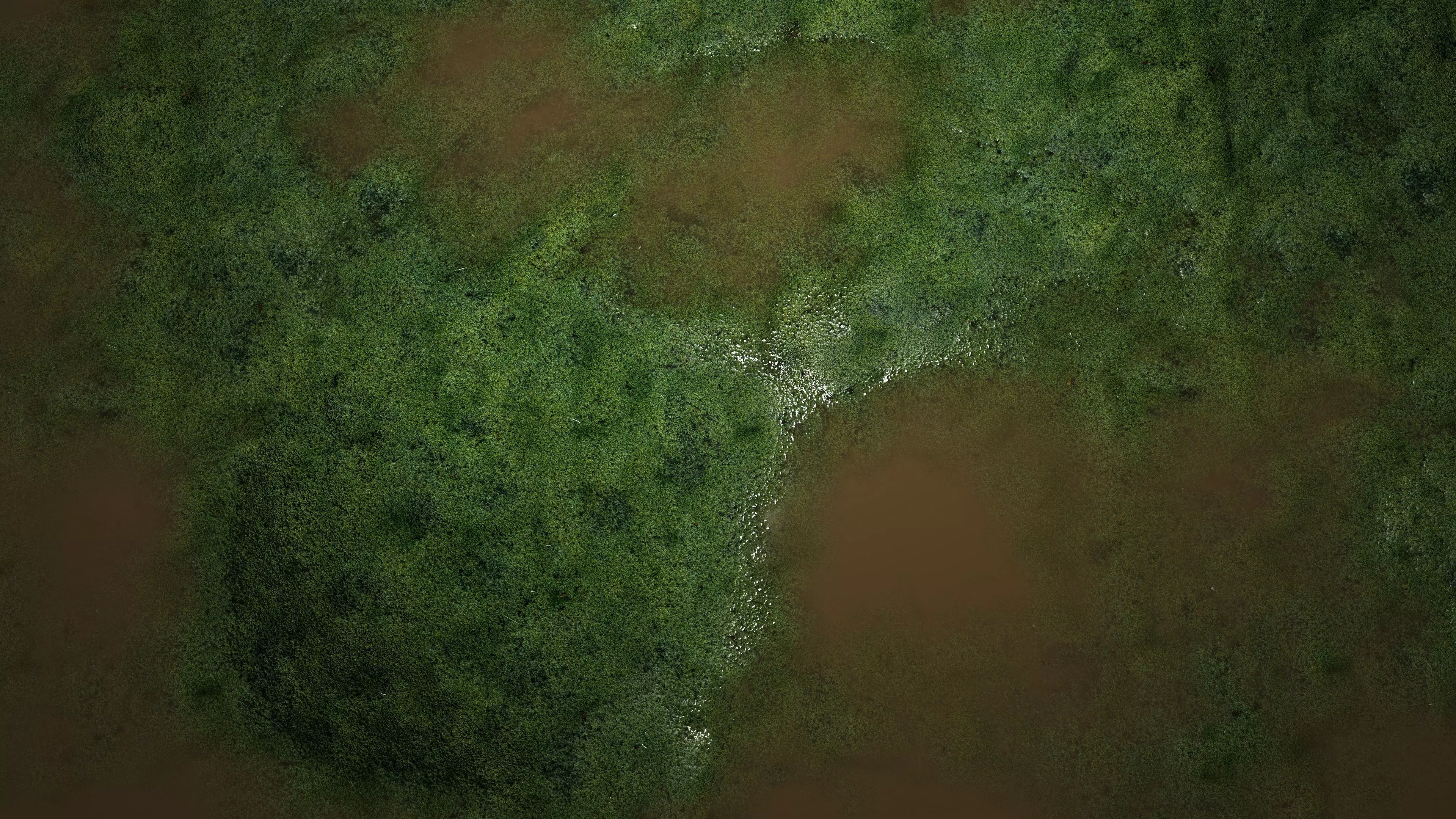 Swamp Water 8K PBR Texture Texture_6