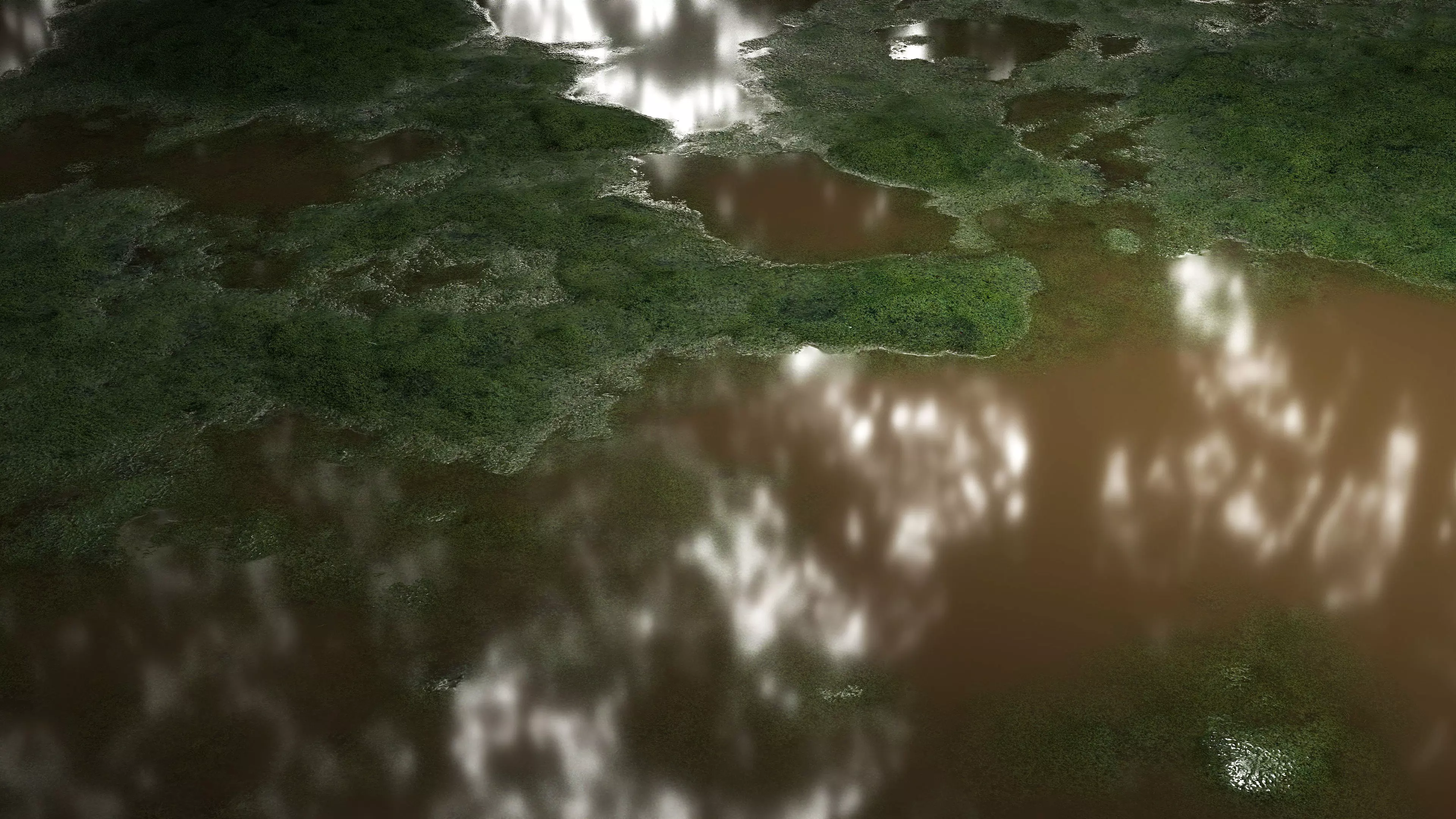 Swamp Water 8K PBR Texture Texture_1