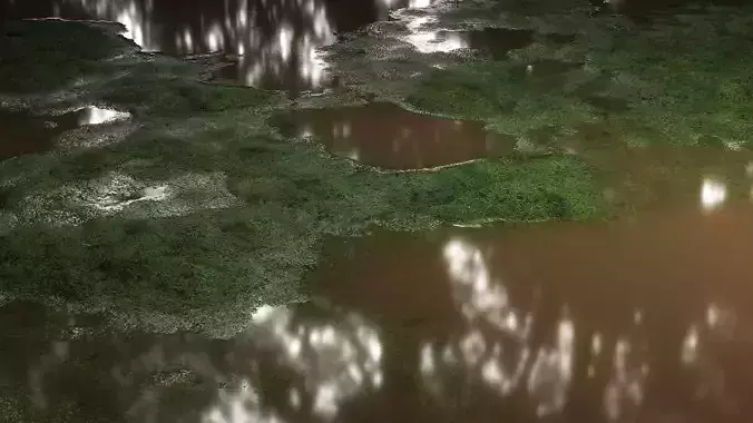 Swamp Water 8K PBR Texture Texture