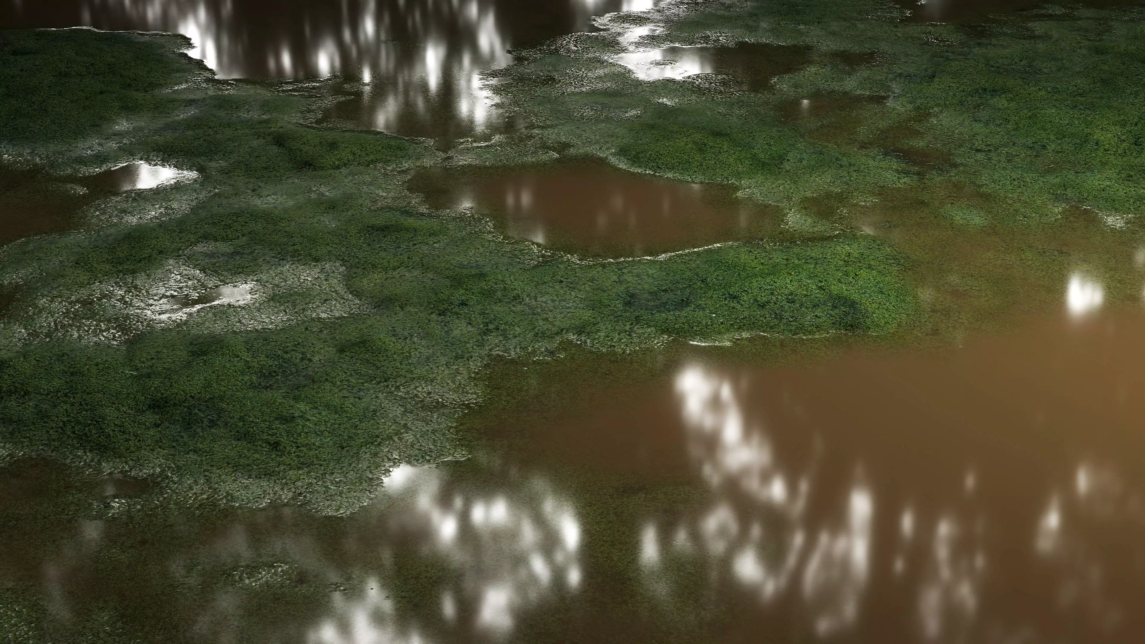 Swamp Water 8K PBR Texture Texture_0