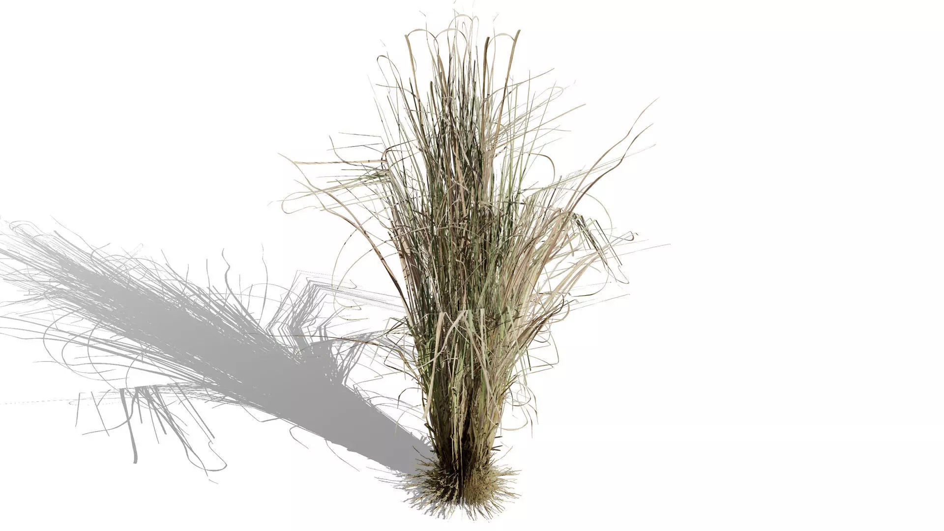 Game-Ready Tropical Foliage Pack Low-poly 3D model_9