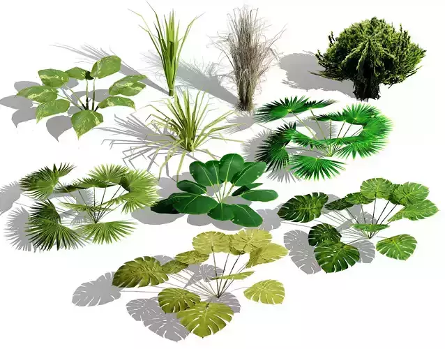 Game-Ready Tropical Foliage Pack Low-poly 3D model