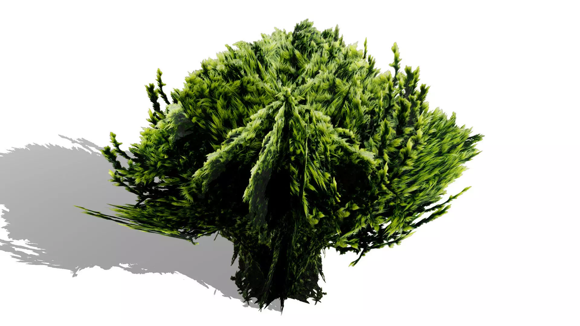 Game-Ready Tropical Foliage Pack Low-poly 3D model_10