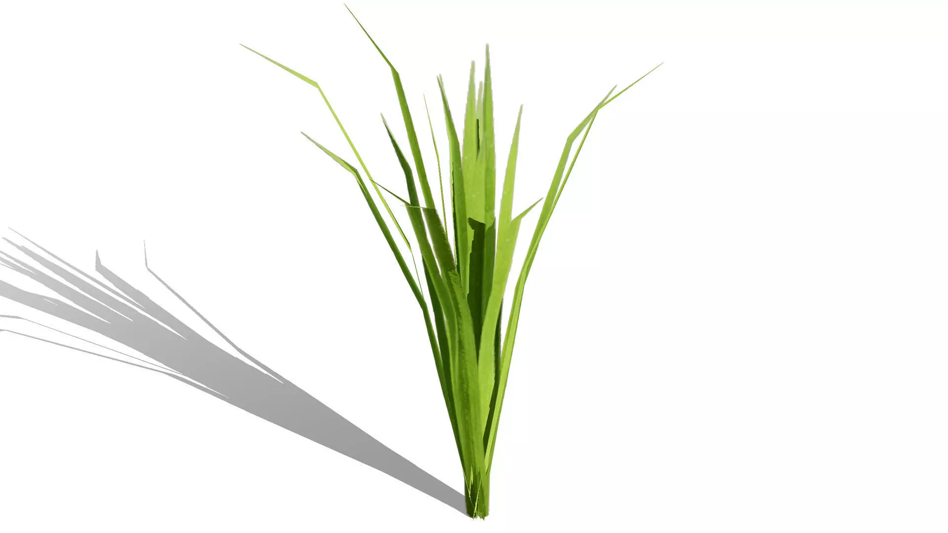 Game-Ready Tropical Foliage Pack Low-poly 3D model_11