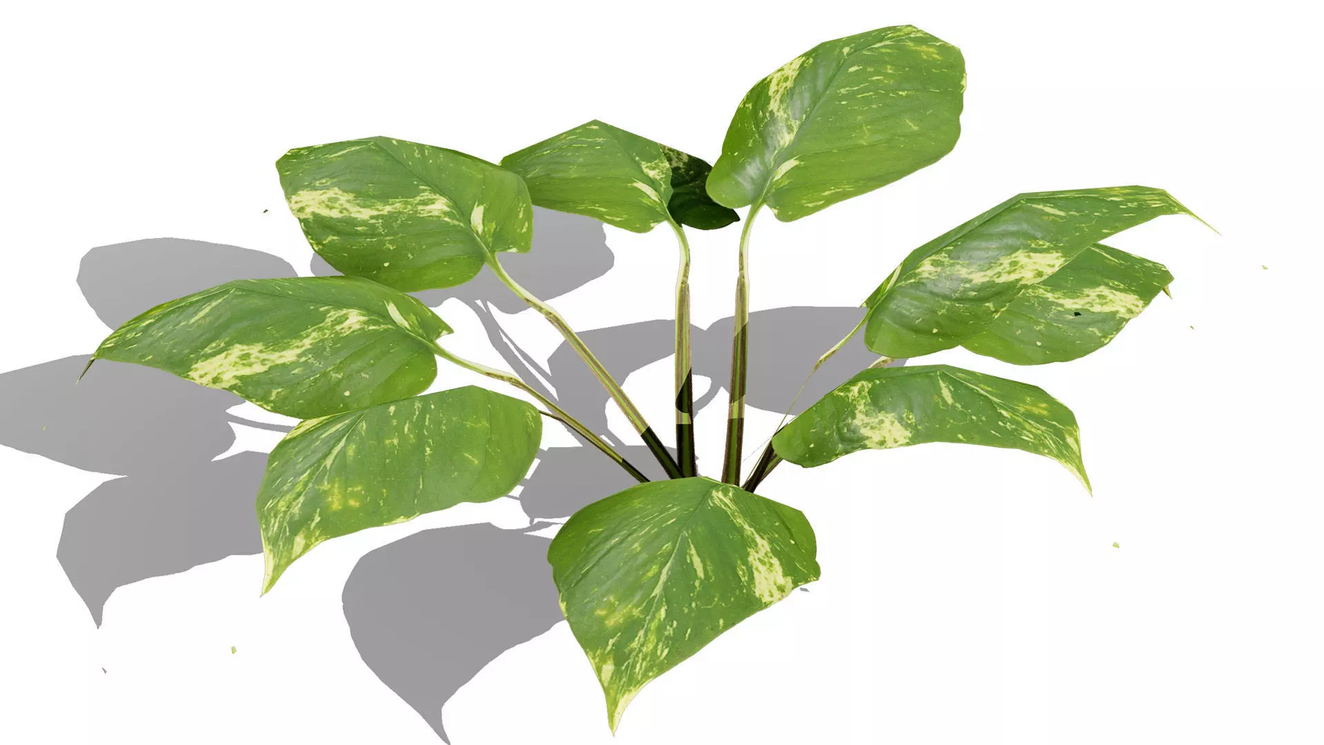 Game-Ready Tropical Foliage Pack Low-poly 3D model_8