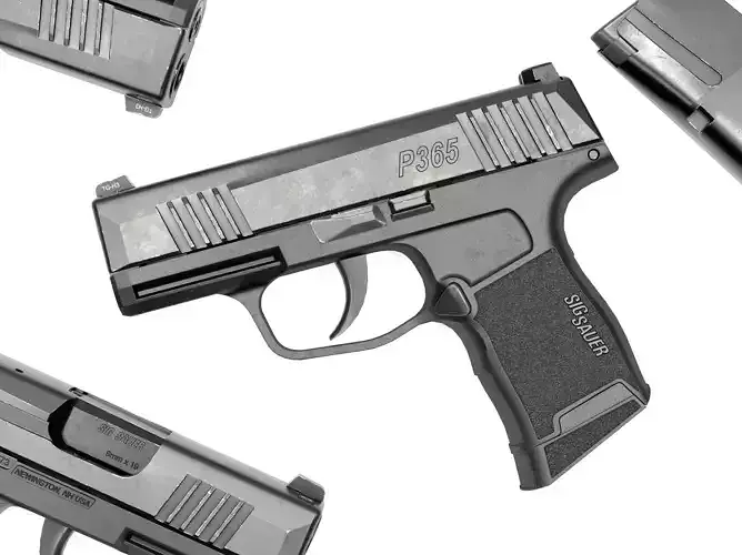 Sig Sauer P365 Pistol