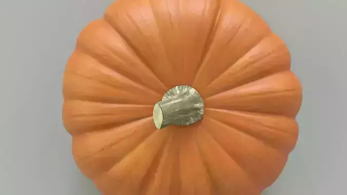 Pumpkin Low-poly 3D model 4
