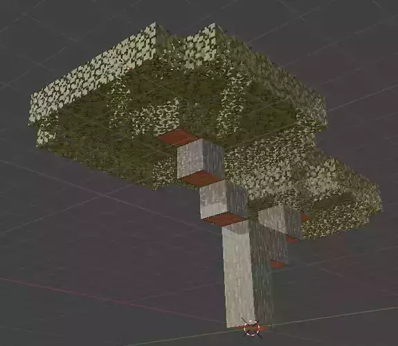 Acacia Tree