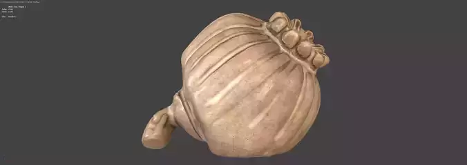 Clay Poppy Decoration 3D model 4
