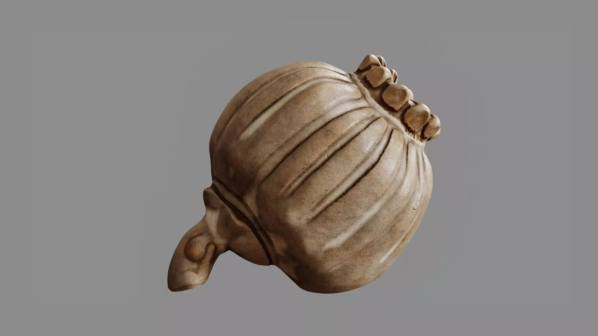 Clay Poppy Decoration 3D model_1