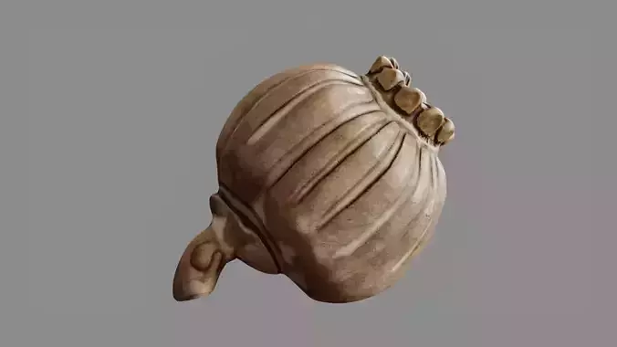 Clay Poppy Decoration 3D model 2