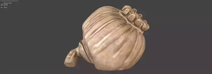 Clay Poppy Decoration 3D model 6