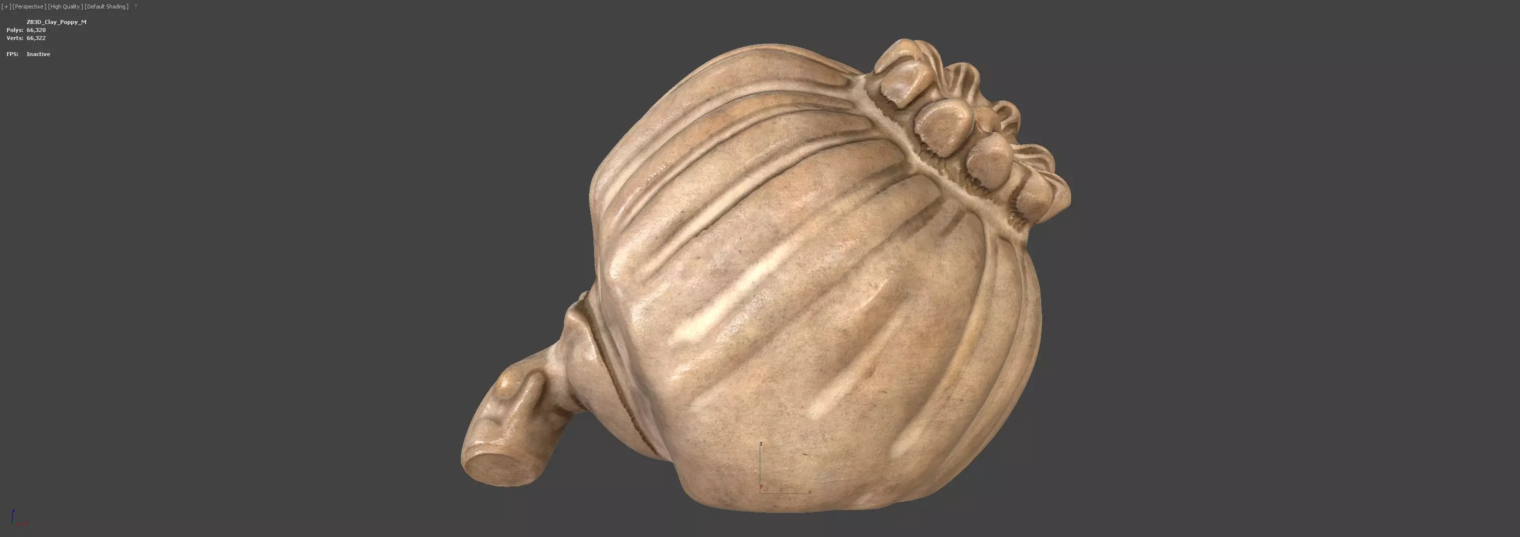 Clay Poppy Decoration 3D model_4